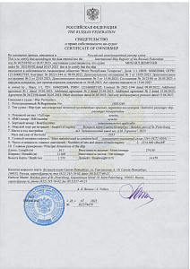 Свидетельство "Михаил Девятаев"